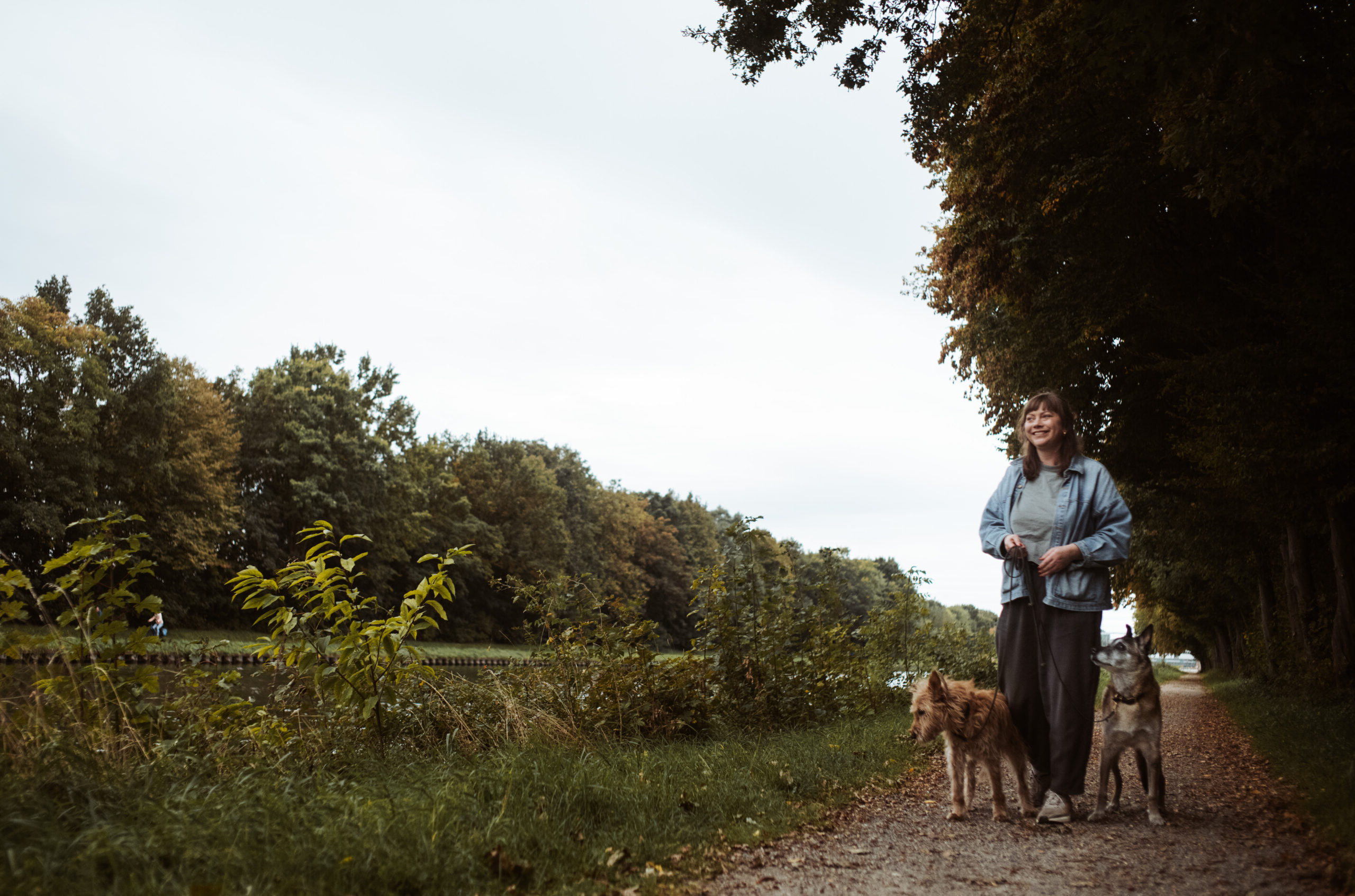 Hundeschule Bargteheide